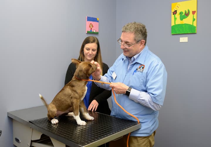 Background for Bigger Road Veterinary Clinic