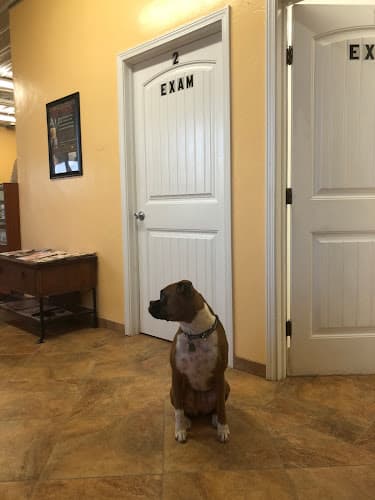 Mannford Veterinary Services