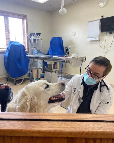 Duluth Veterinary Hospital