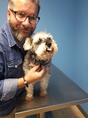 Background for Comer Veterinary Hospital