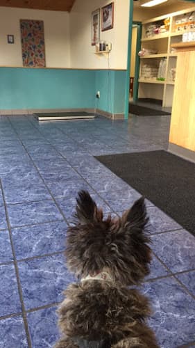 Milton Veterinary Hospital
