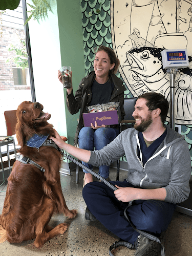 Kenton Animal Hospital