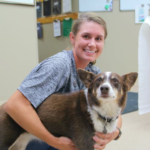 Dells Veterinary Services