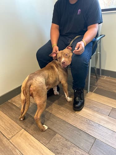 Background for Dayton Humane Veterinary Hospital