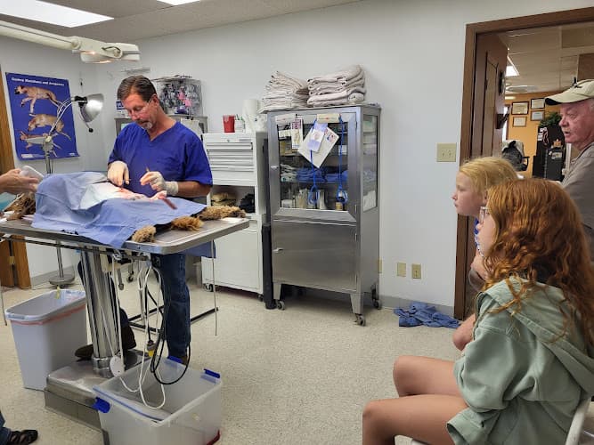 Background for Monona Veterinary Services