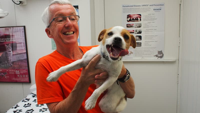 Background for East Aurora Veterinary Hospital