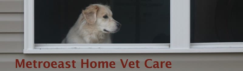 Background for MetroEast Home Vet Care