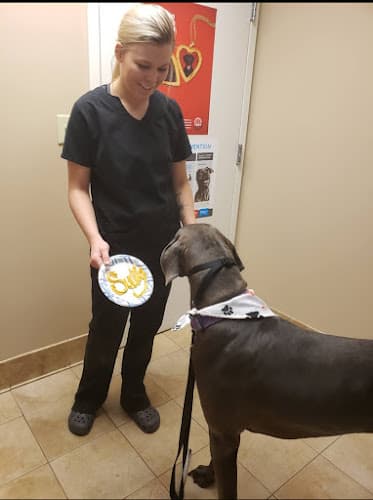 Animal Care of Gloucester