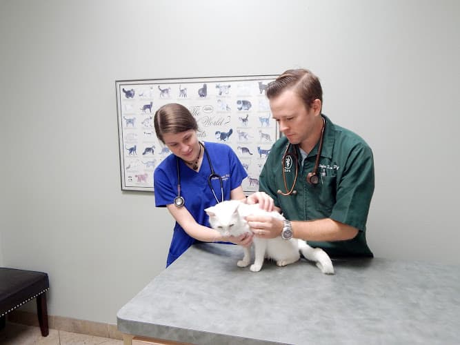 Background for Panther Creek Pet Clinic