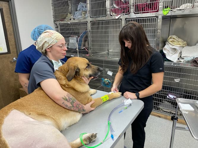 Berry Hill Animal Hospital