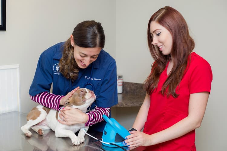 Background for Killewald Small Animal Hospital