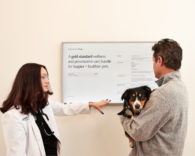 Background for Small Door Veterinary - Williamsburg