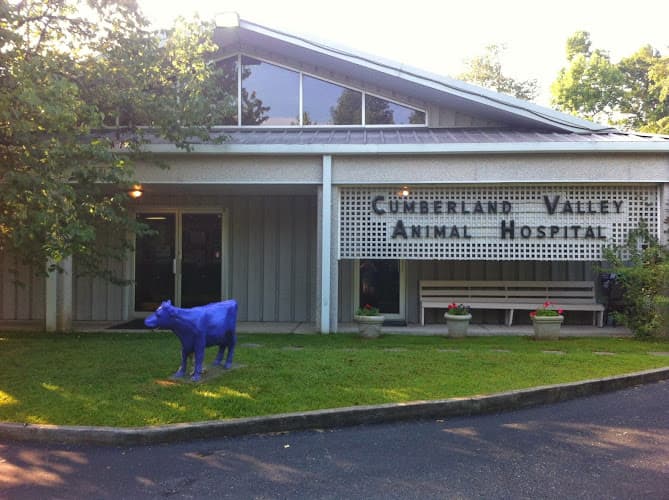 Background for Cumberland Valley Veterinary Services