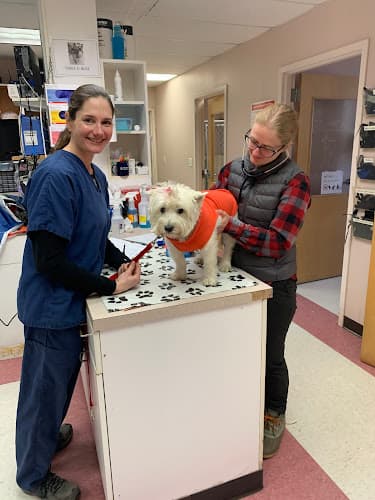 Ark Veterinary Hospital