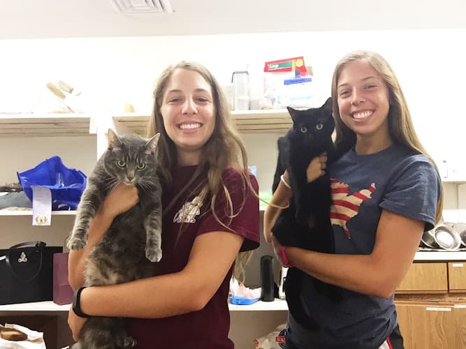 Country View Veterinary Clinic