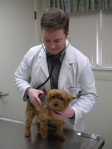Brockton Animal Hospital
