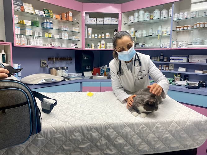 Animal Clinic of Bay Ridge