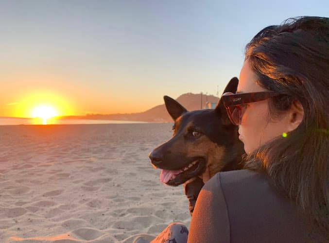 Background for Valley Veterinary Urgent Care & La Quinta Pet Hospital