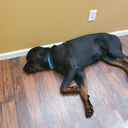 Center Point Animal Clinic