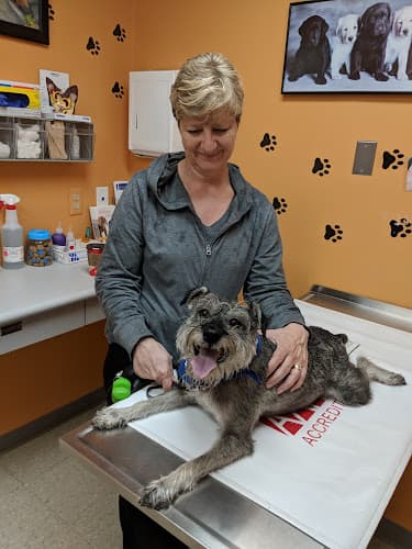 Background for VCA Clinton Township Animal Hospital