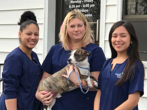 Airport Animal Hospital, Toledo: Dr. Cuesta DVM