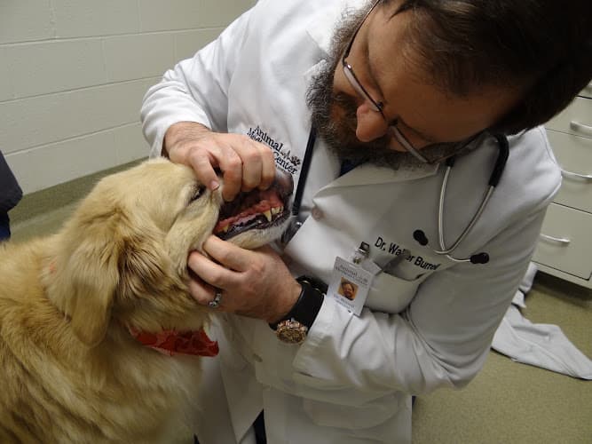 Animal Medical Center of Mid-America - St. Louis City