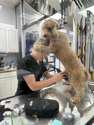 Background for St. Francis Animal Hospital of Durham