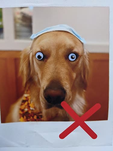 Background for Ambassador Veterinary Hospital