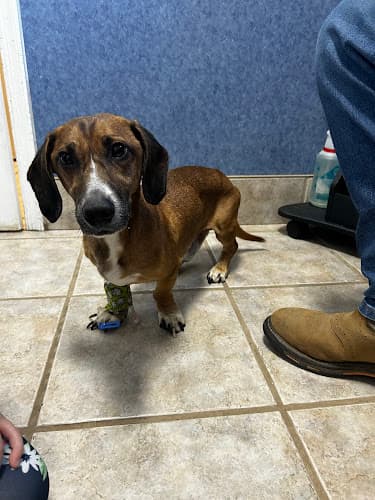 Brosville Animal Clinic