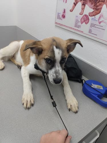Reno Animal Hospital