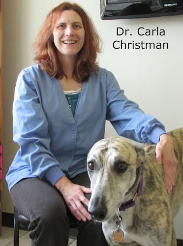 Healthy Pet Veterinary Clinic