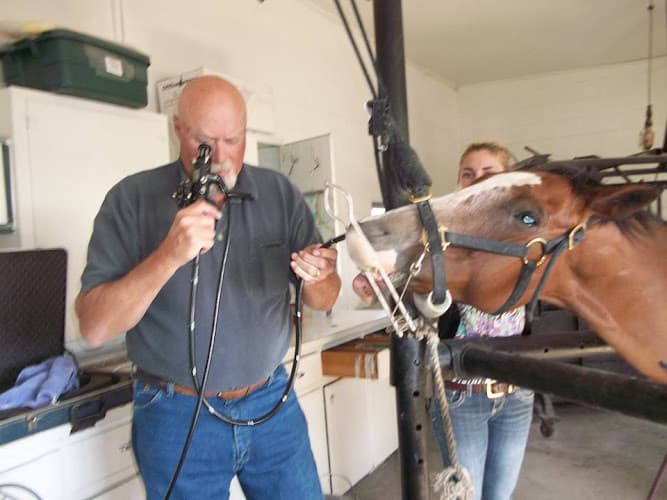 Bighorn Animal Care Center