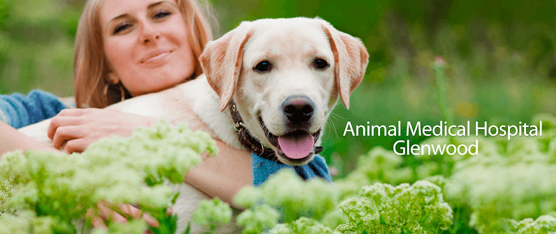 Animal Medical Hospital at Glenwood