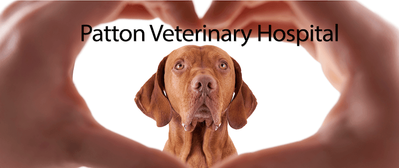 Background for Patton Veterinary Hospital