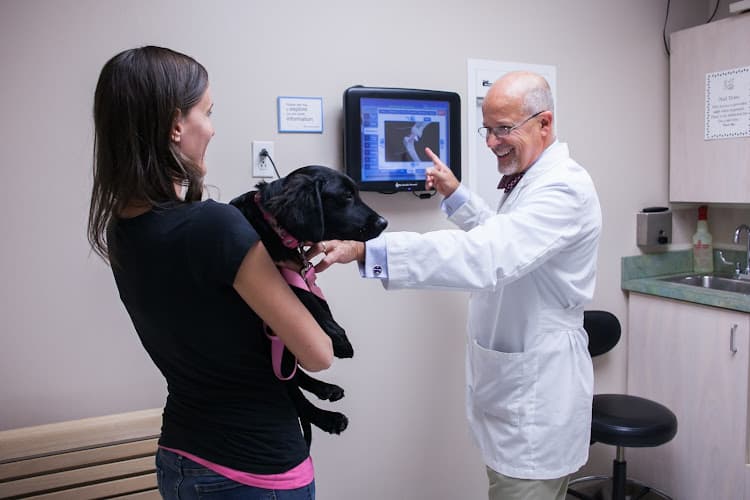 Background for VCA Bakerstown Animal Hospital