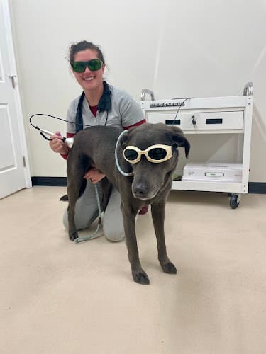 All Creatures Veterinary Service