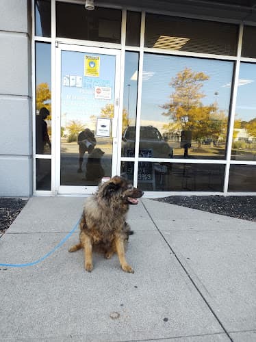 Animal Eye Institute of Cincinnati: Haeussler D J DVM