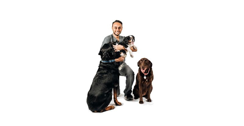 Background for Bushwick Veterinary Center