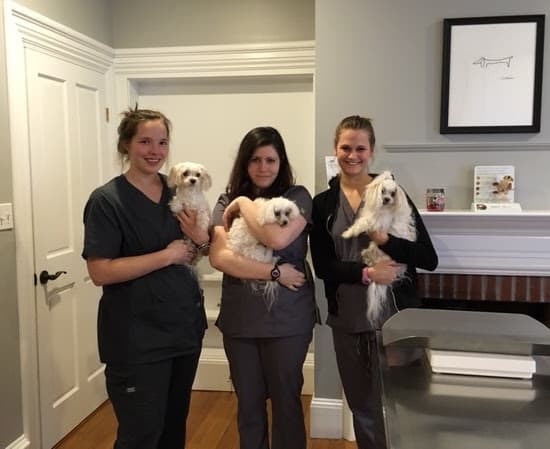 Ellsworth Family Veterinary Clinic