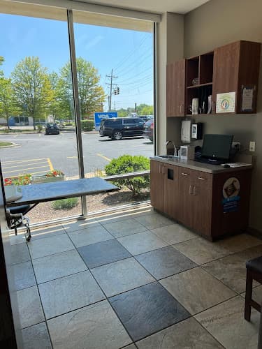 Background for VCA Noyes Animal Hospital