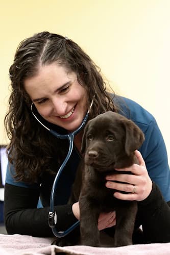 Feeding Hills Veterinary Clinic
