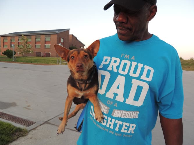 Background for Spay Neuter Network