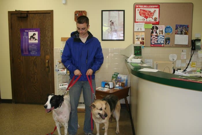 Background for VCA Joliet Animal Hospital