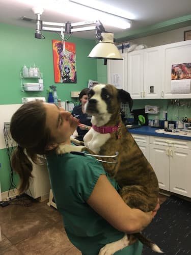 Background for Veterinary Hospital of Oak Ridge