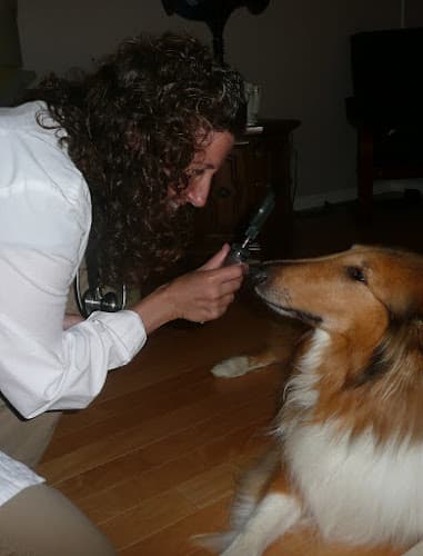 Background for Healing Pets Mobile Vet