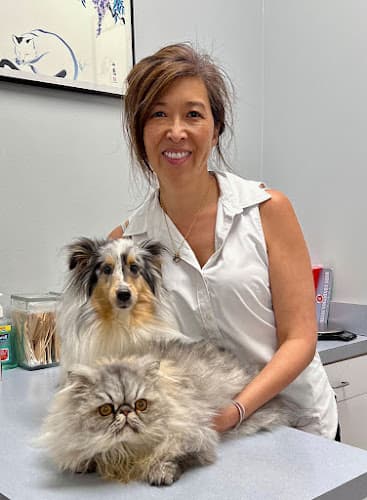 Background for Companion Animal Hospital & Avian/Exotic Clinic