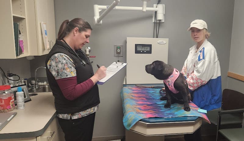 Background for VCA North Division Animal Medical Center