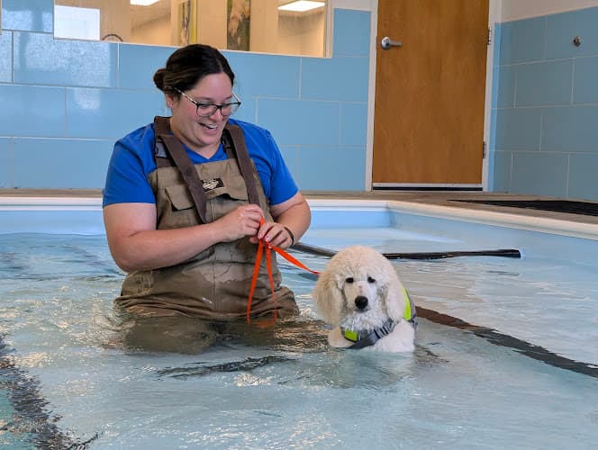 Background for Mad River Veterinary Hospital