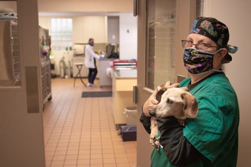 Autumn Trails Veterinary Center