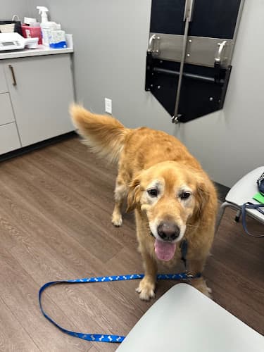 Warwick PetMedic Urgent Care Vet Clinic
